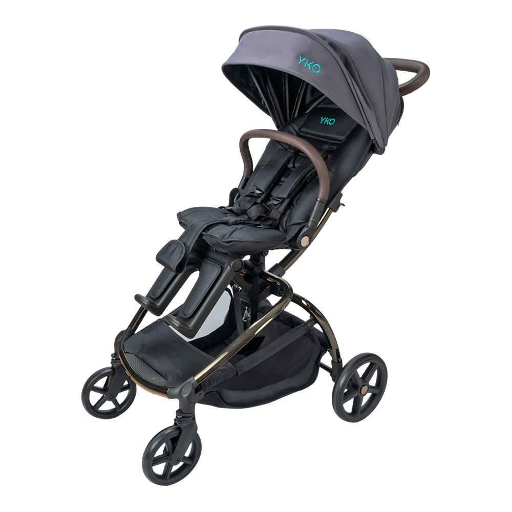 Kinderwagen mit A99C-Haustierkorb