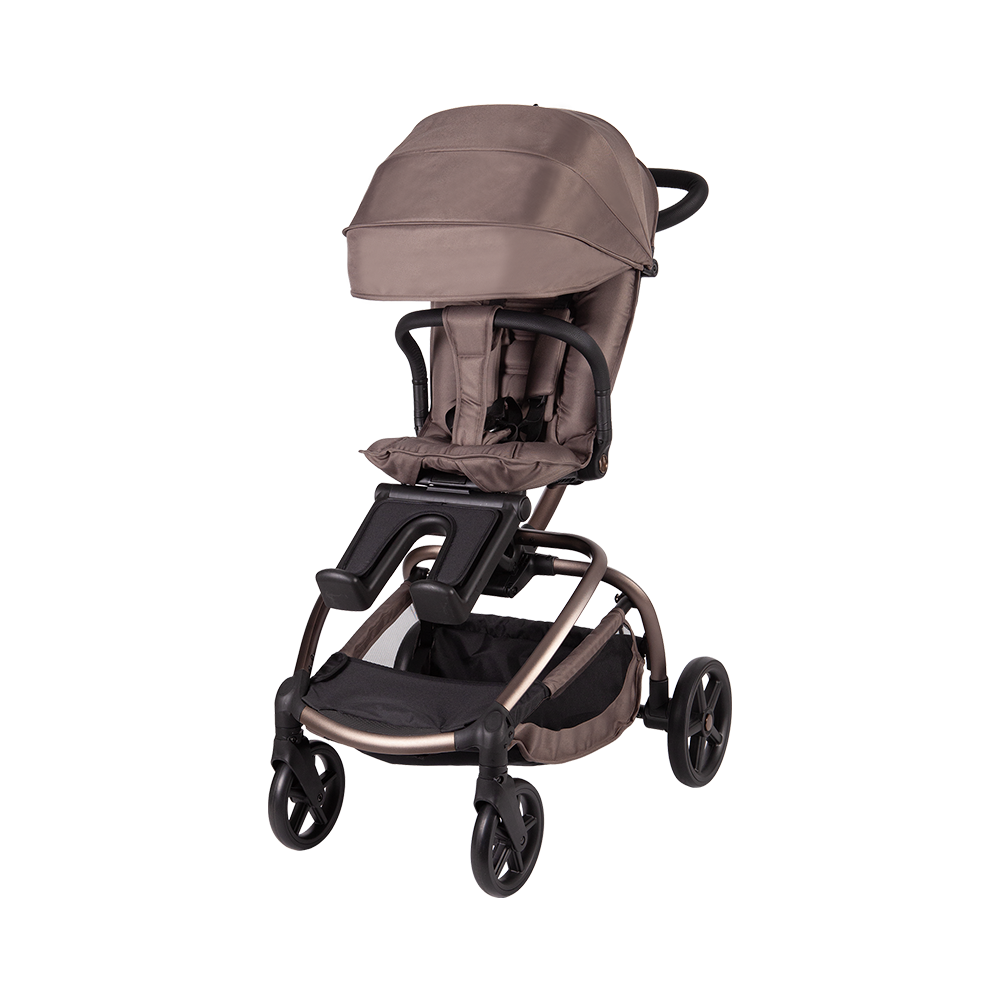 Kinderwagen mit A99C-Haustierkorb