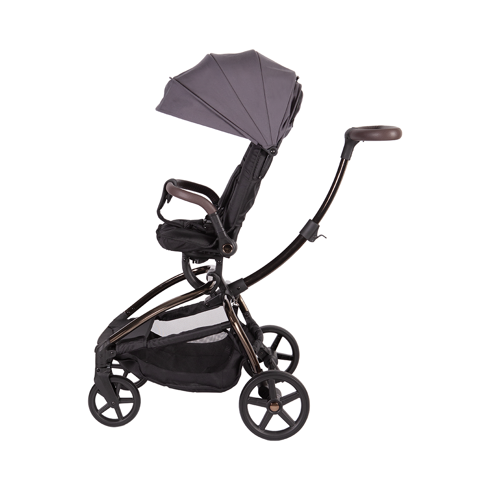 Kinderwagen mit A99C-Haustierkorb