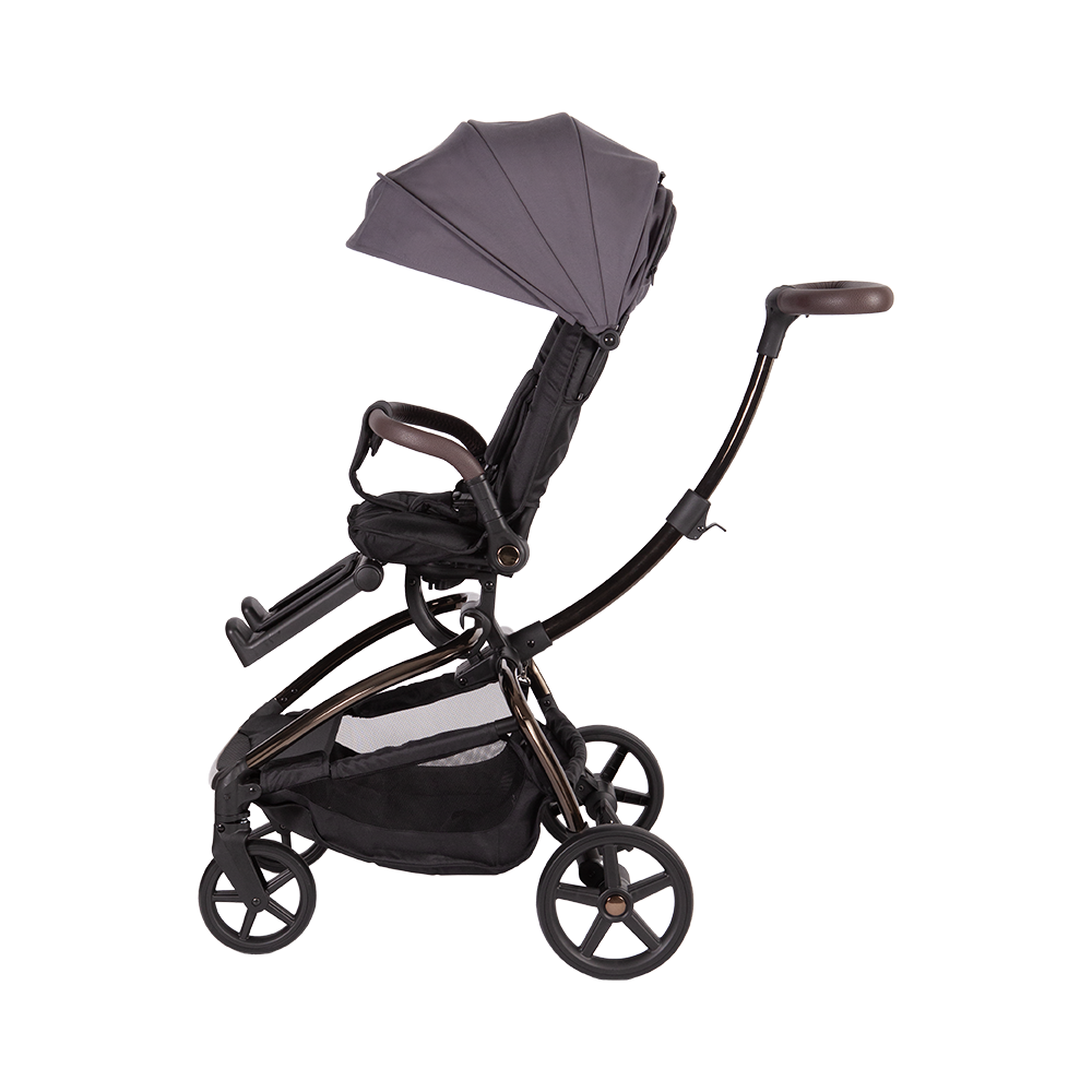 Kinderwagen mit A99C-Haustierkorb