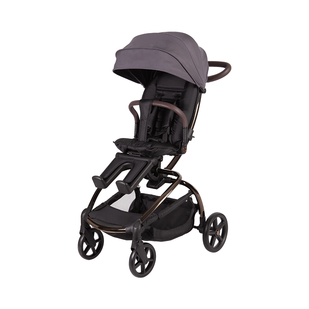 Kinderwagen mit A99C-Haustierkorb